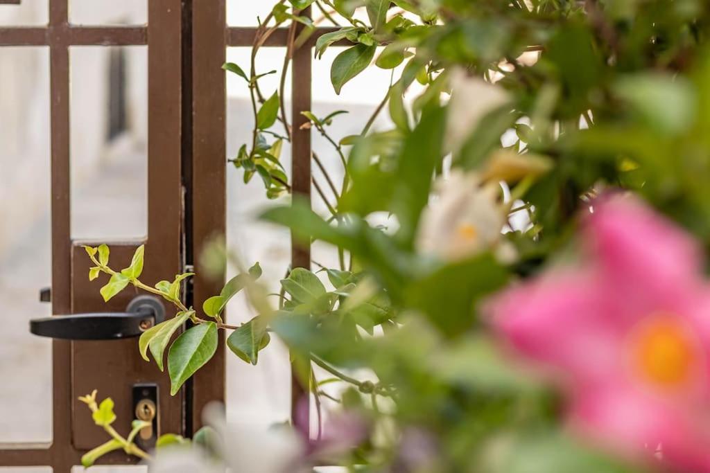 Cconforthotels Appartamento Domus Venezia Bari Exterior foto
